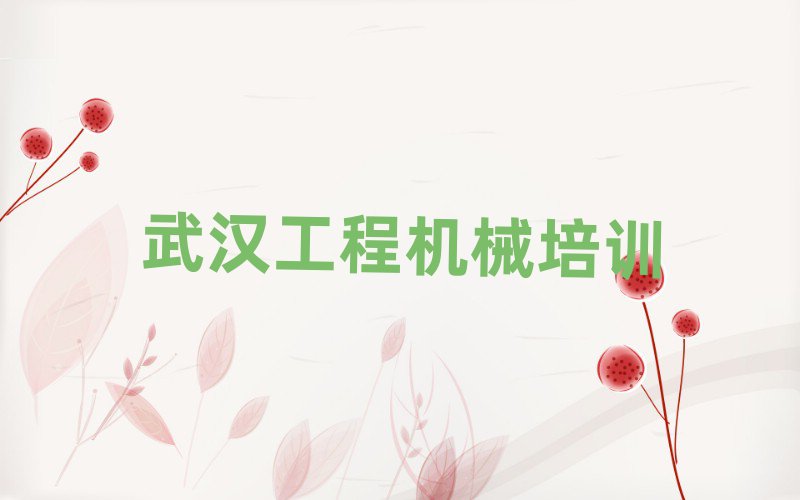 武漢新洲區(qū)專業(yè)學挖掘機駕駛證的學校榜首揭秘一覽詳細名單