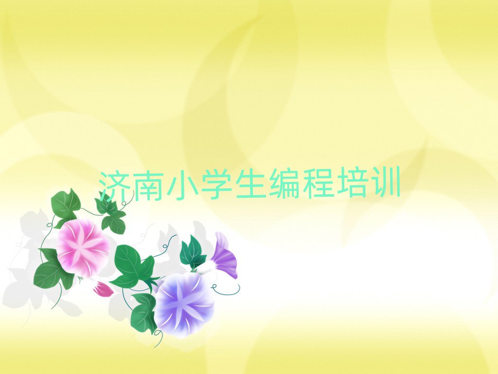 小學(xué)生編程