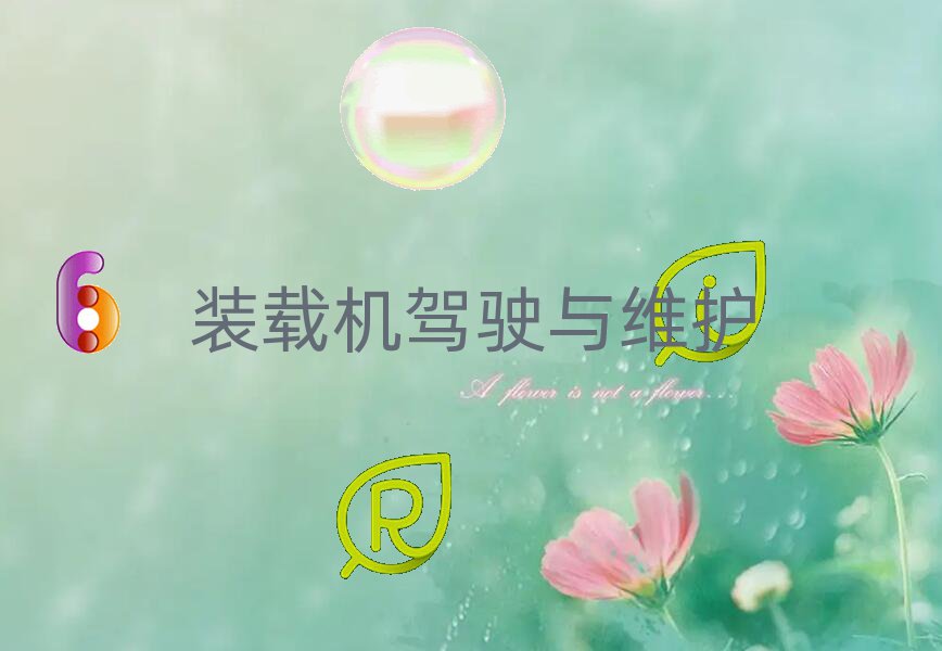 2019꺆ꖌW(xu)bdC(j)xĂ(g)W(xu)У