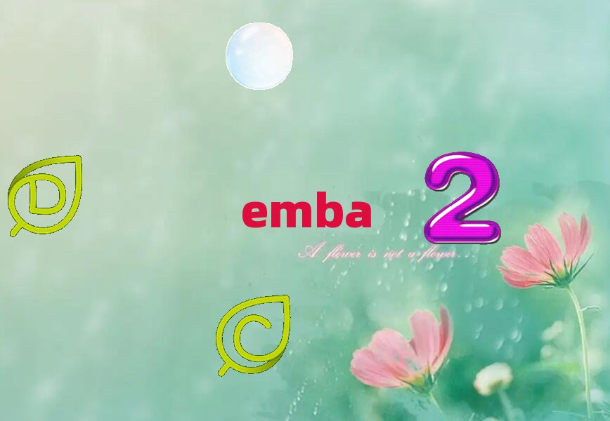 ώW(xu)EMBAް(jin)