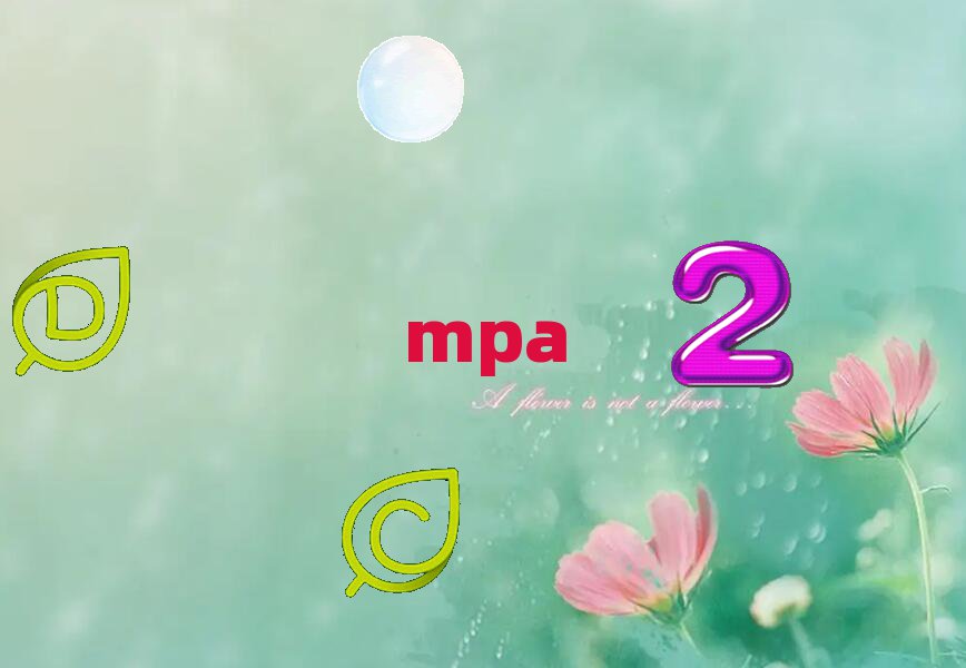 2019ɽW(xu)XόW(xu)ԺMPAW(xu)M
