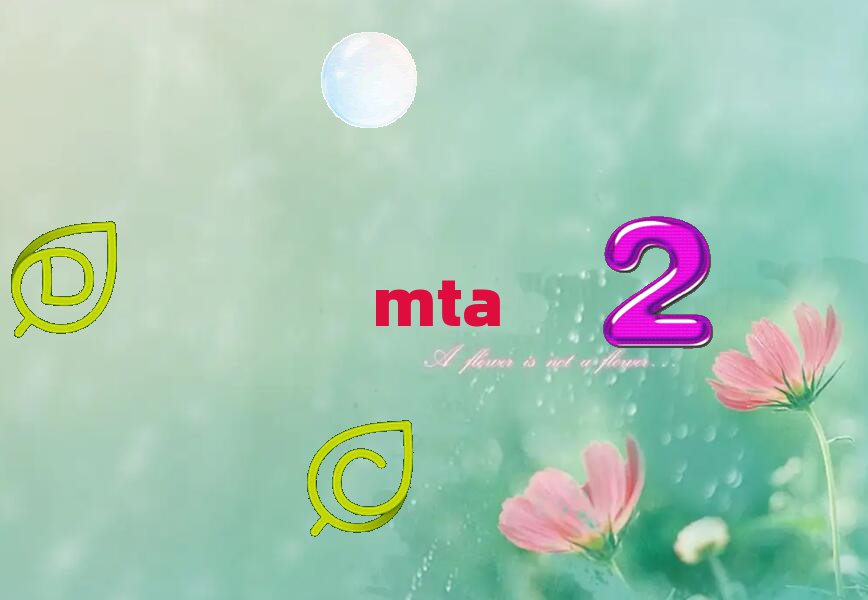 2019ɶW(xu)MTAӖ(xn)